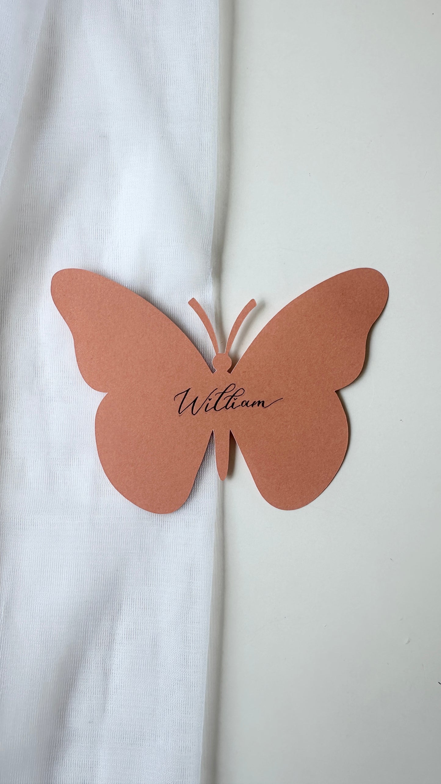 Orange Butterfly Place Cards- Assorted Shades